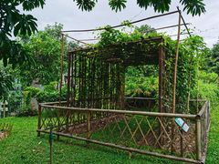 -中国科学院西双版纳热带植物园