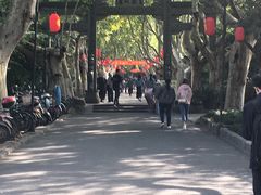 -杭州黄龙洞