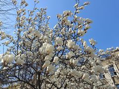 -大连理工大学中心-食堂