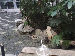 -中医院-的食堂