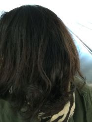 -大象造型