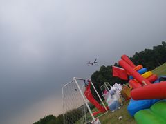 -空港花田景区