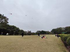 -东莞植物园