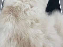 -comecome来吧宠物(奥克斯中心店)