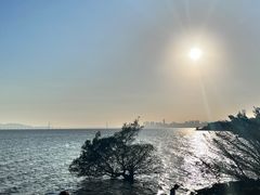 -深圳湾公园(南山区)