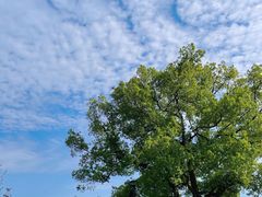 -东钱湖旅游度假区