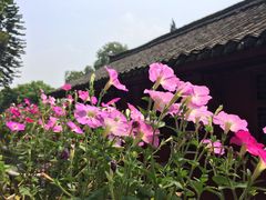 -乐山大佛风景名胜区乌尤寺南门-售票点