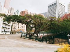 -香港大学