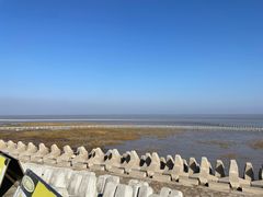 -南汇嘴观海公园