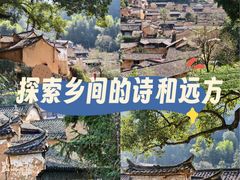 -杨家堂村