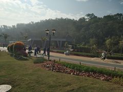 -野狸岛