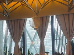 -润园四季椰子鸡火锅(海上世界店)