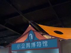 -海合安武汉极地海洋公园