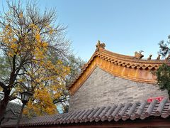 -南锣鼓巷