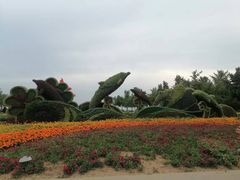 -五四广场