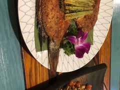 -紫滇源云南生态菜(丹凤街店)
