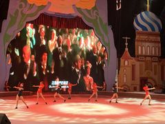 -俄罗斯国家大马戏团