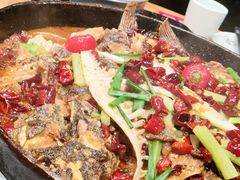 -老板恋上鱼(高新万达店)