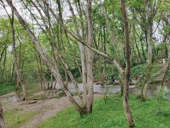 -西溪南古村落景区