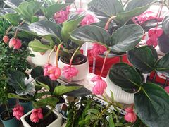 -沃尔玛购物广场(霖雨路店)