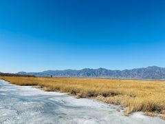 -野鸭湖国家湿地公园