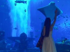 -迪拜帆船酒店海底餐厅