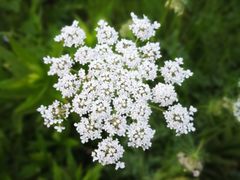 -苏体天云湖运动度假村