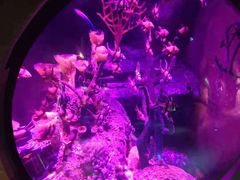 -沈阳海洋探索中心