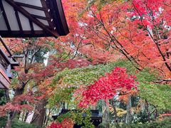 -三千院
