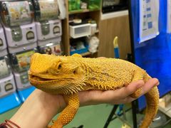 -藦茜花园宠物主题亲子互动体验馆(国顺东路店)