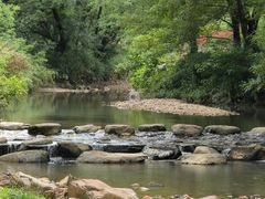 -北仑森林植物园