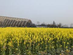 -中国天府农业博览园