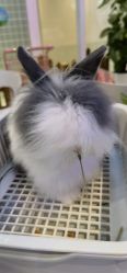 -Moni星球萌宠·小马宝莉·灵蛇·高端高阶全萌宠互动体验俱乐部(红豆国际广场店)