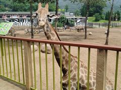 -大连森林动物园