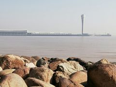 -上海吴淞炮台湾国家湿地公园