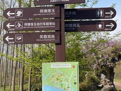 -合肥滨湖国家森林公园