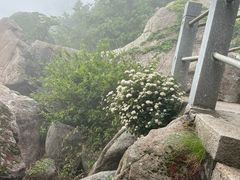 -崂山巨峰游览区