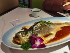 -33号大院·青岛本帮菜(五四广场店)