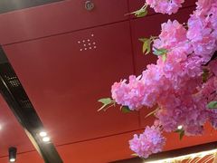 -HIHE Bistro·Oyster Bar(华熙live店)