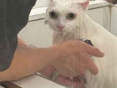 -comecome来吧宠物(奥克斯中心店)