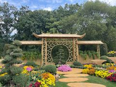 -上海共青森林公园