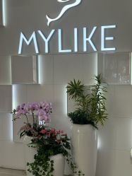 -深圳美莱医疗美容医院