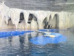 -太平洋海底世界