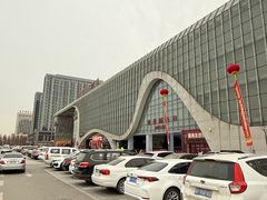 -肃宁华斯国际裘皮城