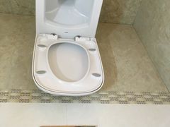 -金山农民画村-枫泾波兰倒置屋