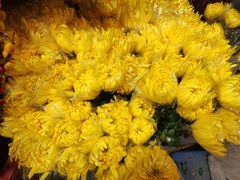 -循礼门鲜花花市(武汉循礼门店)