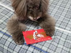 -北京赛佳动物医院