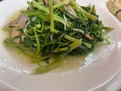 上汤菠菜-功德林(南京西路店)