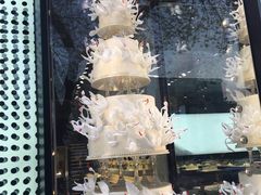 -BLACKSWAN黑天鹅(环球店)