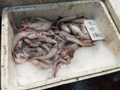 -新享乐海鲜(翠华路店)